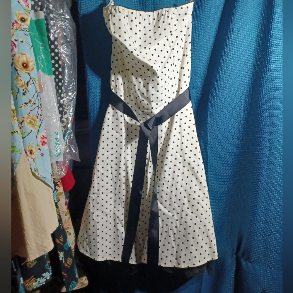 Vintage pinup dress